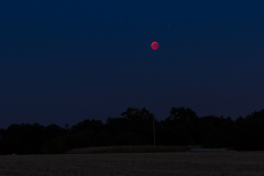 Mondfinsternis am Coesfelder Berg