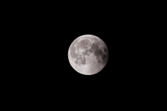 Nahezu Vollmond