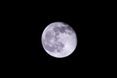 Nahezu Vollmond